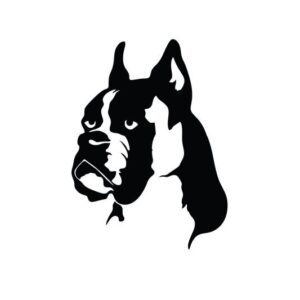 Hund Boxer Autoaufkleber