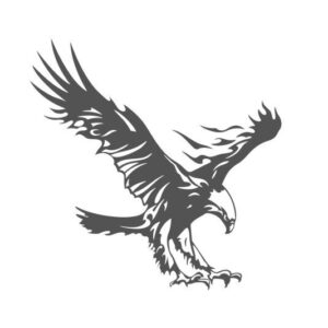 Greifvogel Aufkleber bis XXL