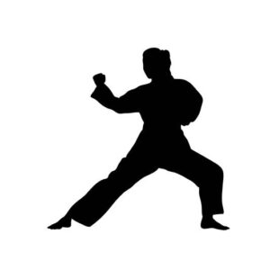 Frau Kampfsport Aufkleber Sticker