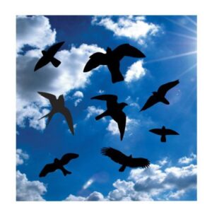Vogelschutz Aufkleber 8x Vogel Satz