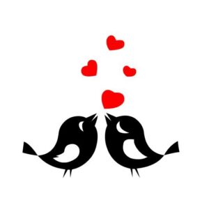 Verliebt Herz Paar Liebe Vögelchen