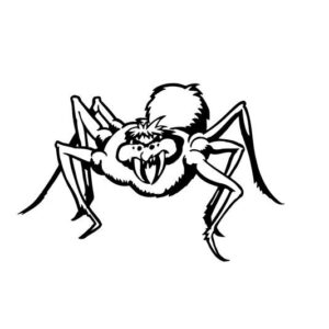 Spinne Aufkleber 30 x 20 cm