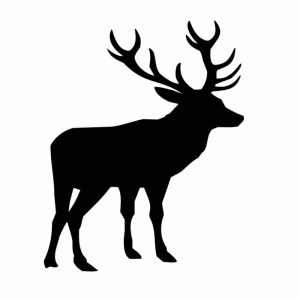 hirsch auto aufkleber