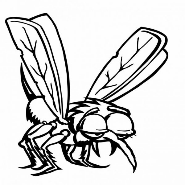 moskito mücke aufkleber sticker