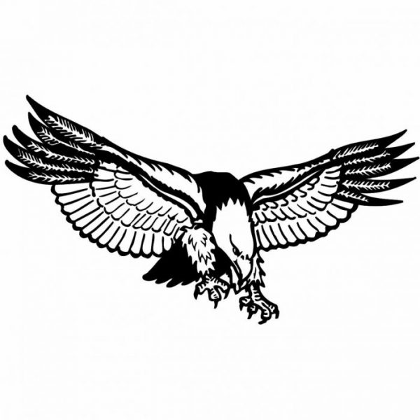 adler aufkleber fahrzeugbeschriftung