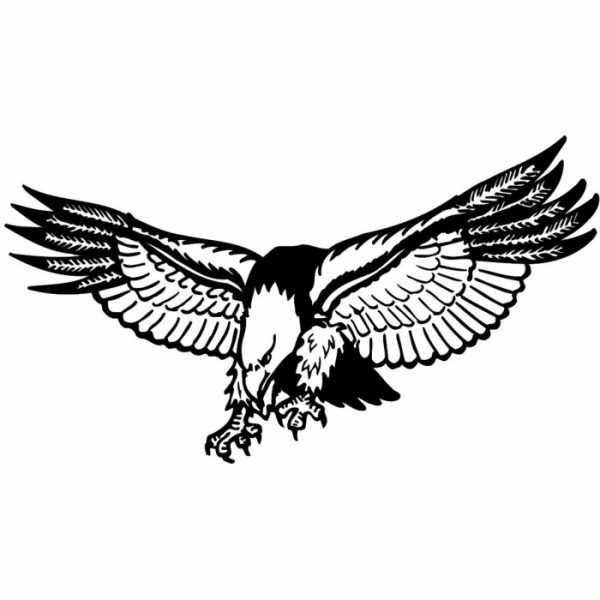 adler usa aufkleber
