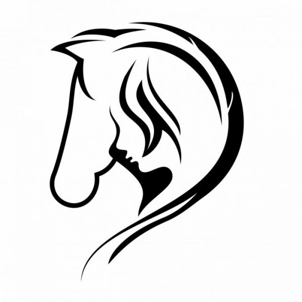 pferd mit mädchen silhouetten 20 x 15 cm
