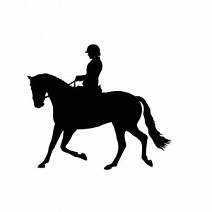 pferdeanhaenger aufkleber reiterin mit pferd.
