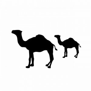 kamele karavane aufkleber sticker fuer alle glatten flaechen