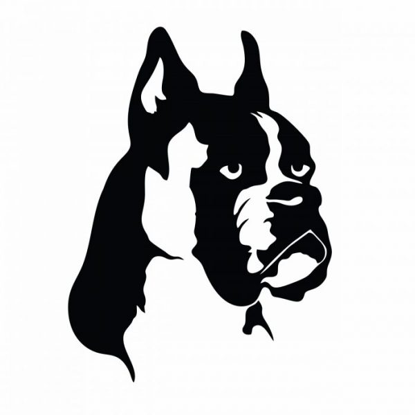 hund boxer 20 x 15 cm