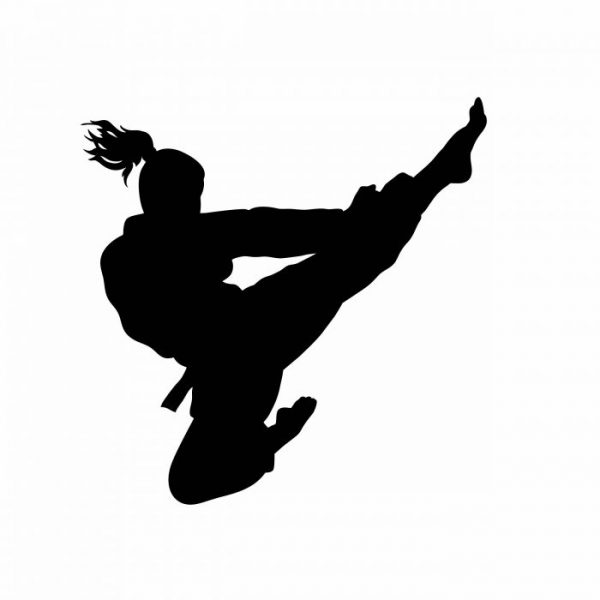 frau kampfsport aufkleber sticker