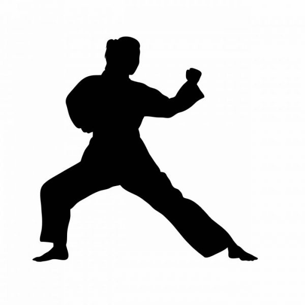 lady kampfsport aufkleber sticker
