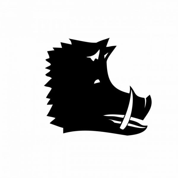 wildschwein kopf sticker 11 x 10 cm