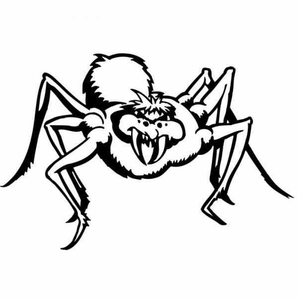 spinne aufkleber halloween grusel 30 x 20 cm