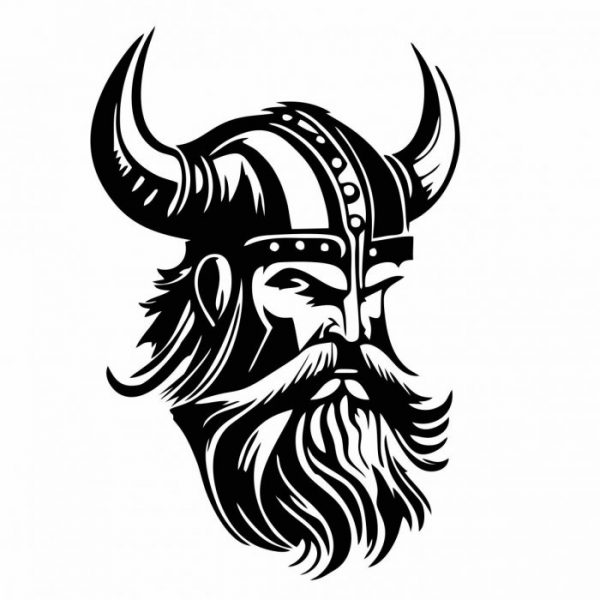 aufkleber viking wikinger 30 x 20 cm