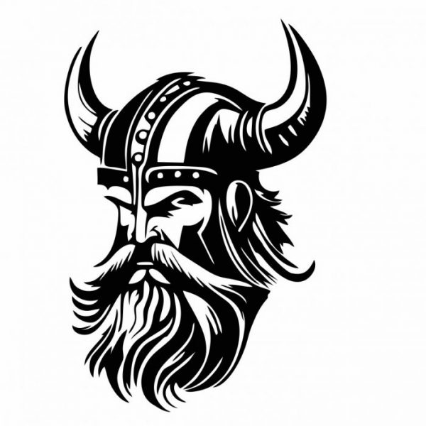 aufkleber viking wikinger 30 x 20 cm