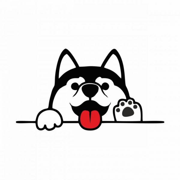kleine husky aufkleber little husky pkw styling