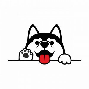 kleine husky aufkleber little husky pkw styling