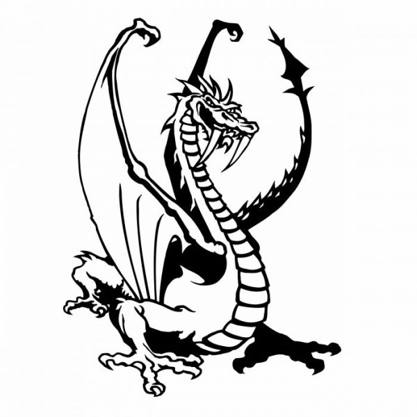 drache dragon auto aufkleber viele farben
