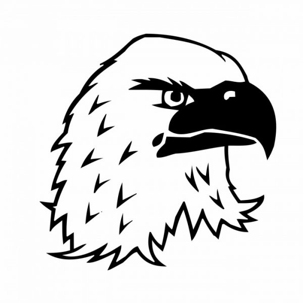 weisskopf adler adlerkopf 20x20cm