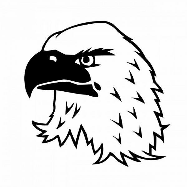 weisskopf adler adlerkopf 20x20cm