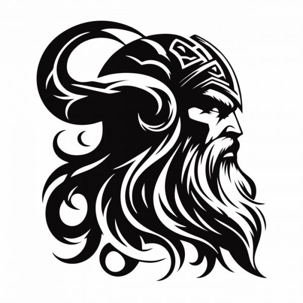 viking wikinger krieger odins son