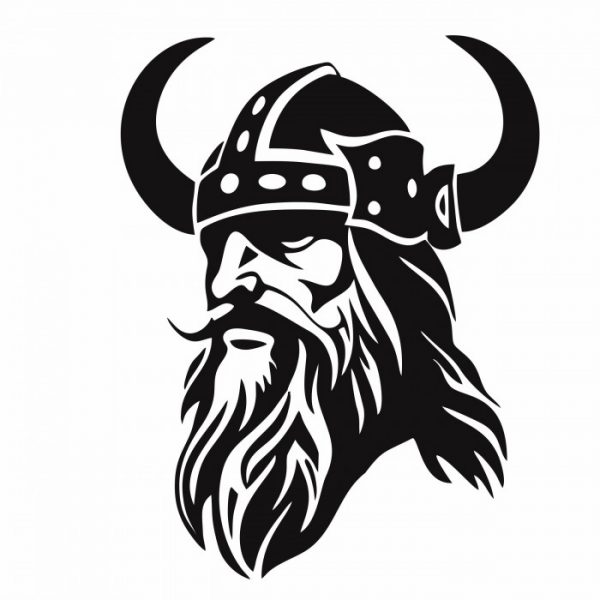 viking wikinger krieger odins son