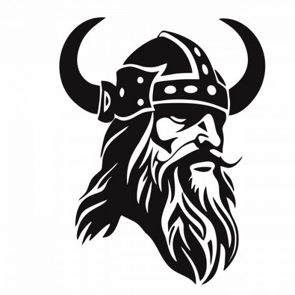 viking wikinger krieger odins son