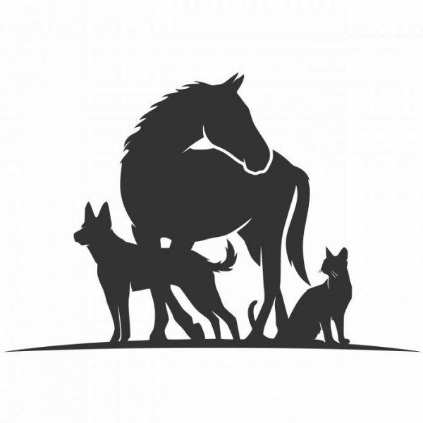 hund katze pferd aufkleber 30 x 20 cm