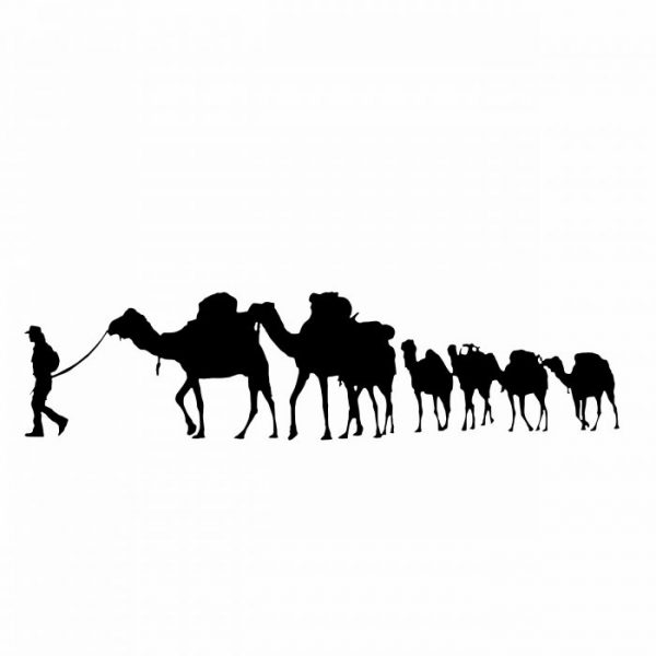 karawane kamele Ägypten aufkleber für wohnmobil