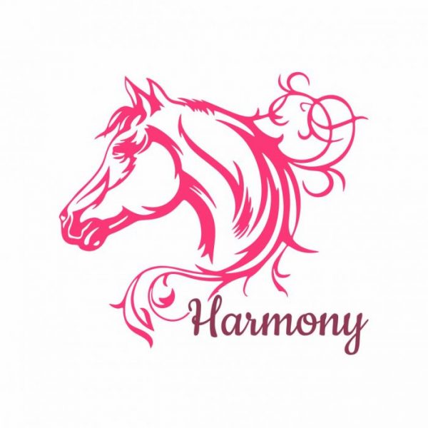 aufkleber fuer pferdeanhaenger harmony mit personalisierung