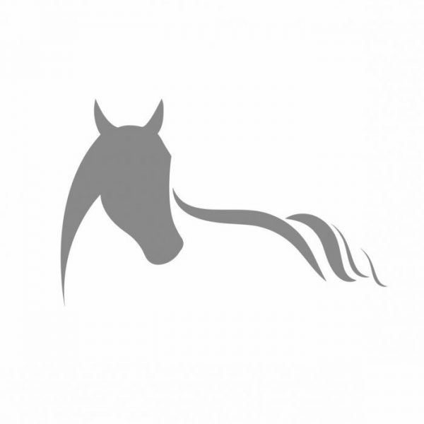 pferdeanhaenger pferd silhouette aufkleber viele größen und farben