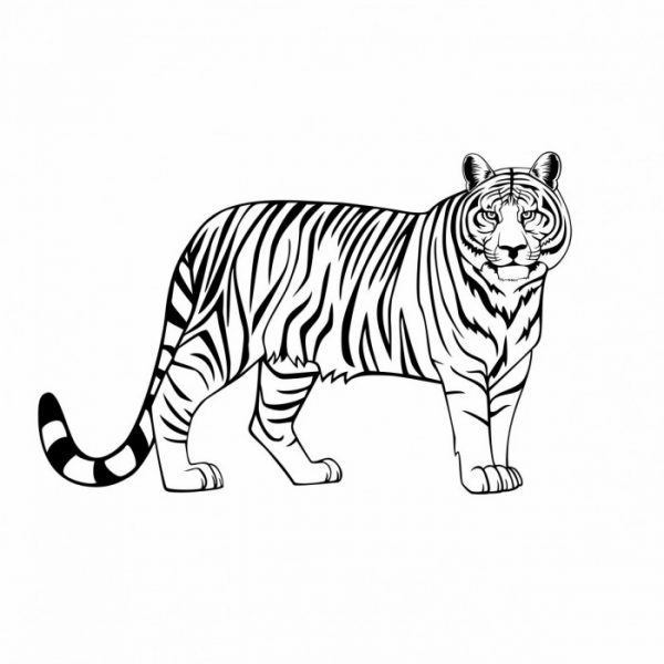 tiger stehend wohnmobil aufkleber