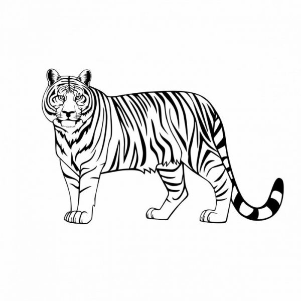 tiger stehend wohnmobil aufkleber