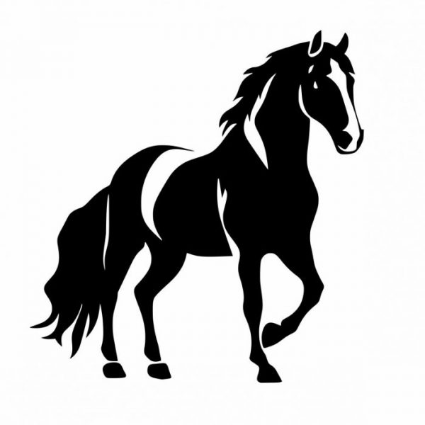 aufkleber fuer pferdeanhaenger "tinker" sticker
