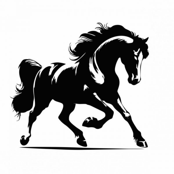 aufkleber fuer pferdeanhaenger horse