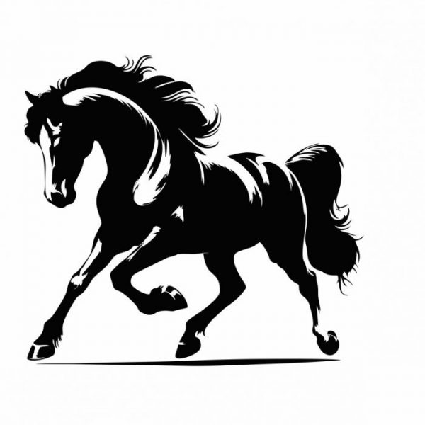 aufkleber fuer pferdeanhaenger horse