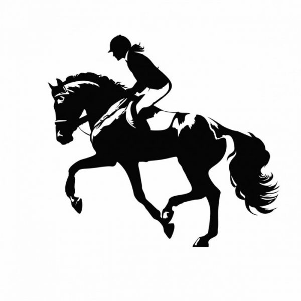 reiterin pferdeanhänger aufkleber
