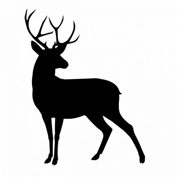hirsch jagt wohnmobil aufkleber
