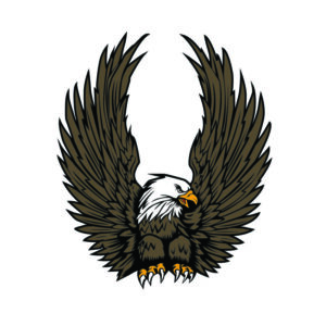 Adler Aufkleber 20 x 24 cm - Digitaldruck