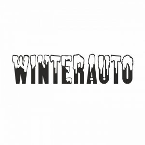 winterauto schriftzug 20 x 5 cm