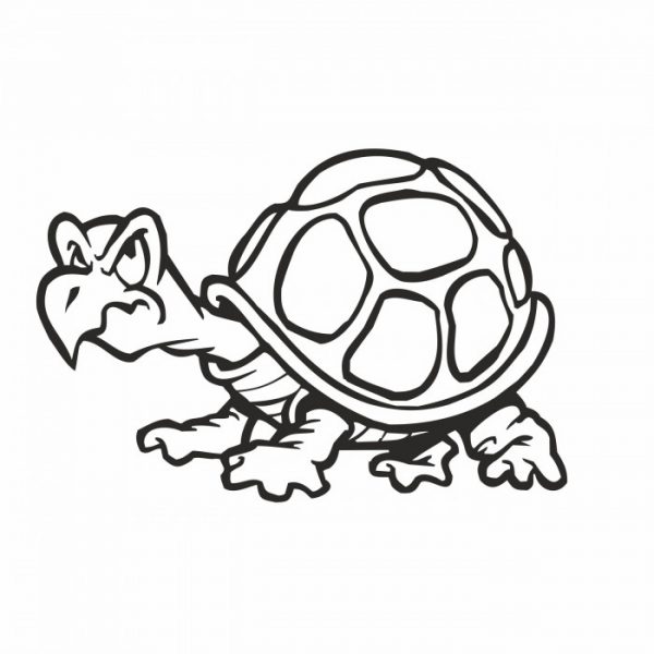 süsse schildkröte schildi 15 x 10 cm