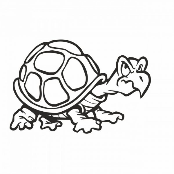 süsse schildkröte schildi 15 x 10 cm