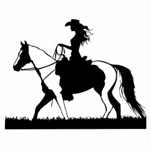 pinto aufkleber für pferdeanhänger viele grössen