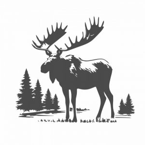 elch im wald
