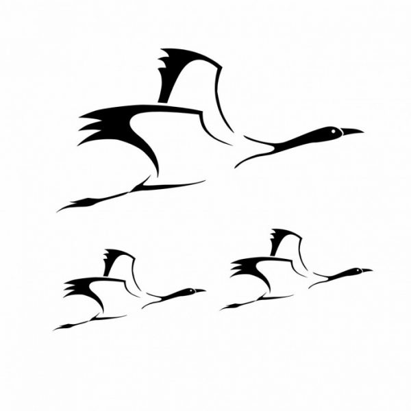 kraniche aufkleber 3er set für vogelschutz auf scheiben oder am fahrzeug viele farben