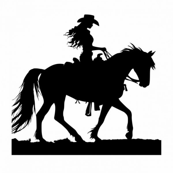westernreiten cowgirl aufkleber sticker mit pferd für trailer anhänger western styl individuell