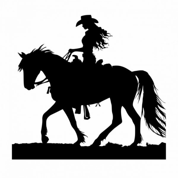 westernreiten cowgirl aufkleber sticker mit pferd für trailer anhänger western styl individuell