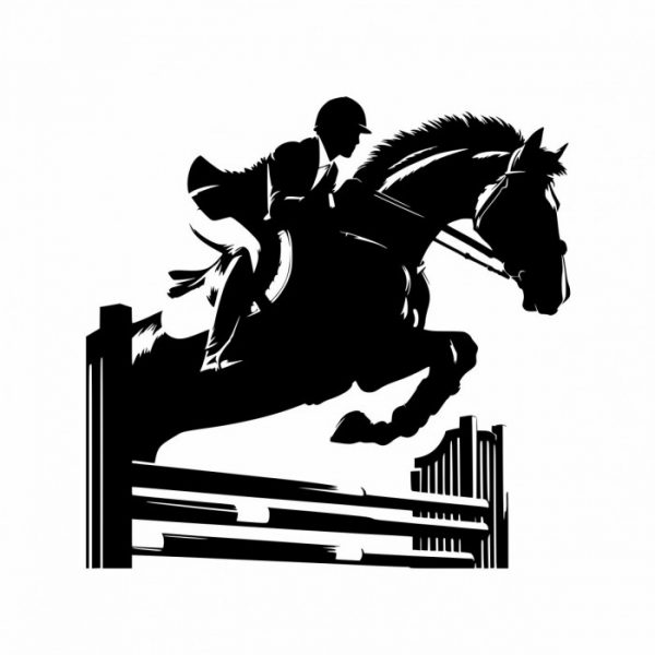 springreiter pferde aufkleber für trailer anhänger styl farbe und größe aus wählbar.