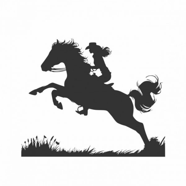 cowgirl mit pferd aufkleber für trailer anhänger western styl individuell